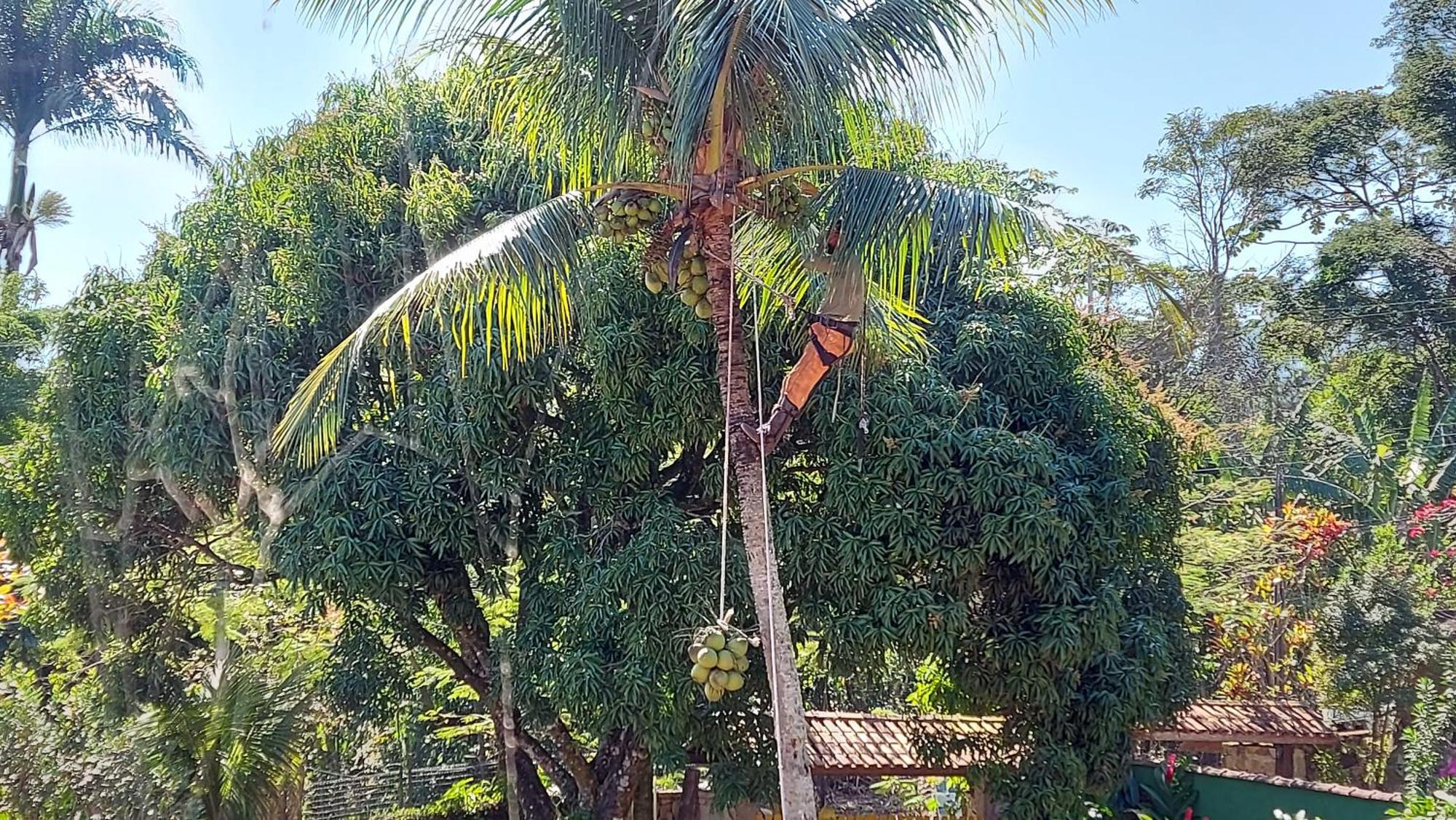 Casa Da Vovo 民宿 Ilhabela